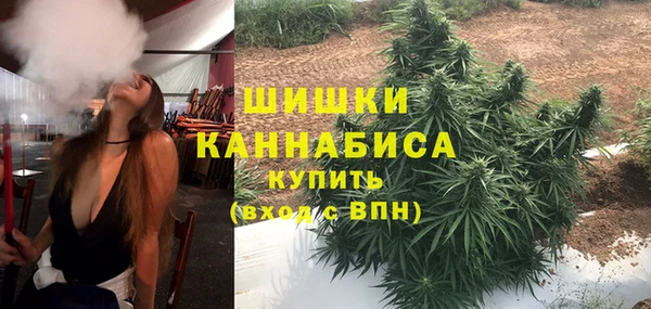шишки Балабаново