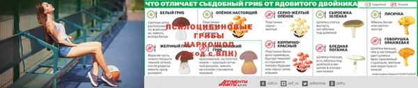 шишки Балабаново