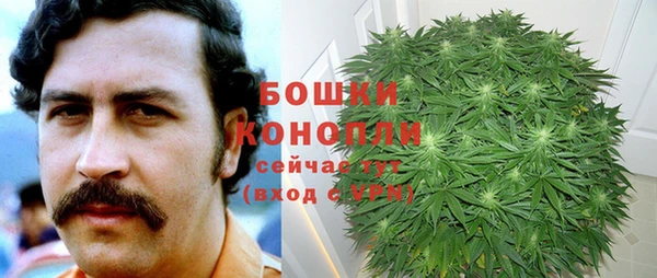 гашик Баксан