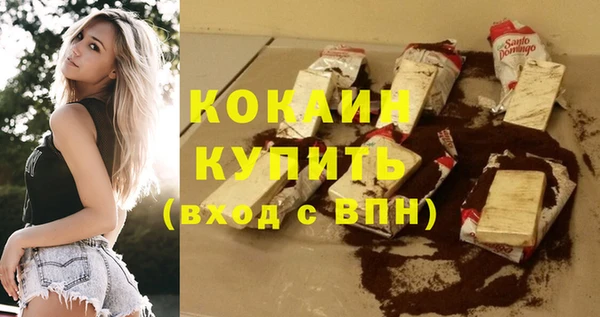 гидра Сясьстрой