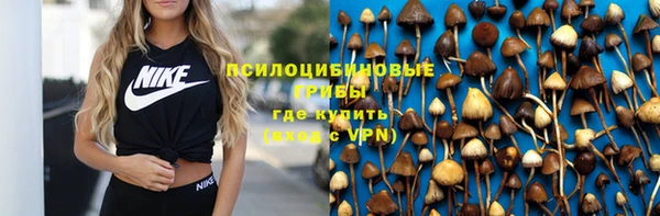 шишки Балабаново