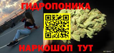 прущие крисы Ипатово