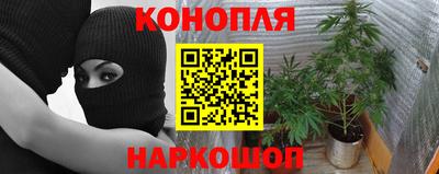 прущие крисы Ипатово