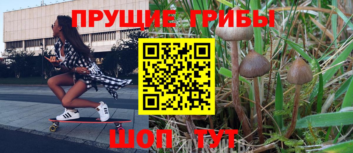 Галлюциногенные грибы прущие грибы Черняховск